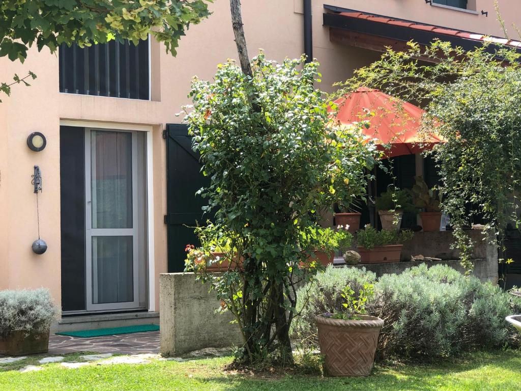 Zahrada ubytování Agriturismo Terre Bianche