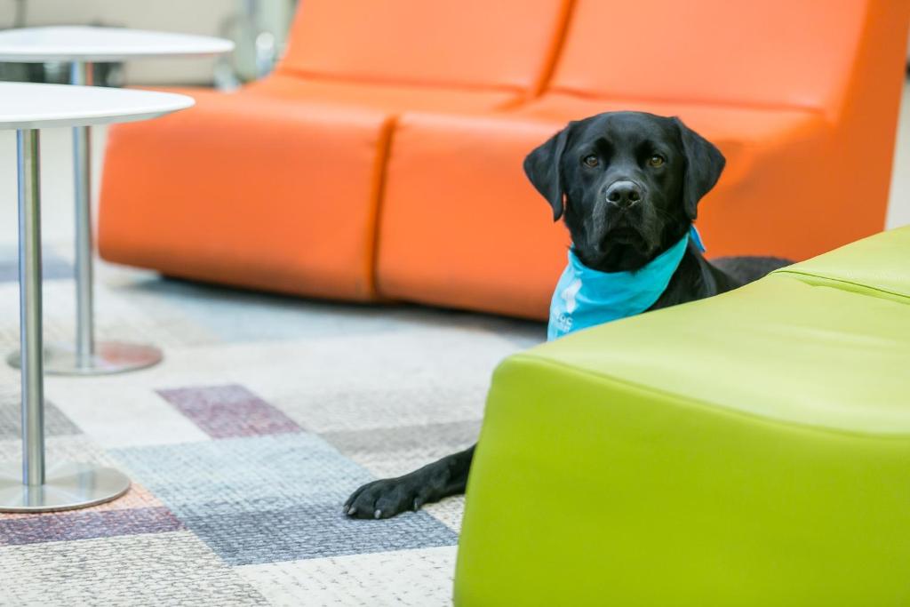 Art Hotel Szeged - Resim 30