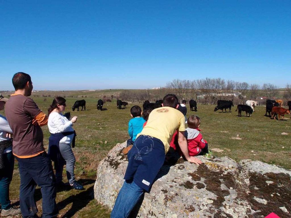 Hosté ubytování Agroturismo El Mirador de la Cigüeña