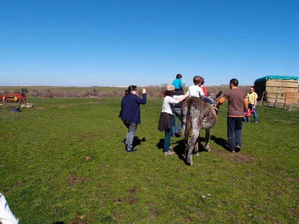 Hosté ubytování Agroturismo El Mirador de la Cigüeña