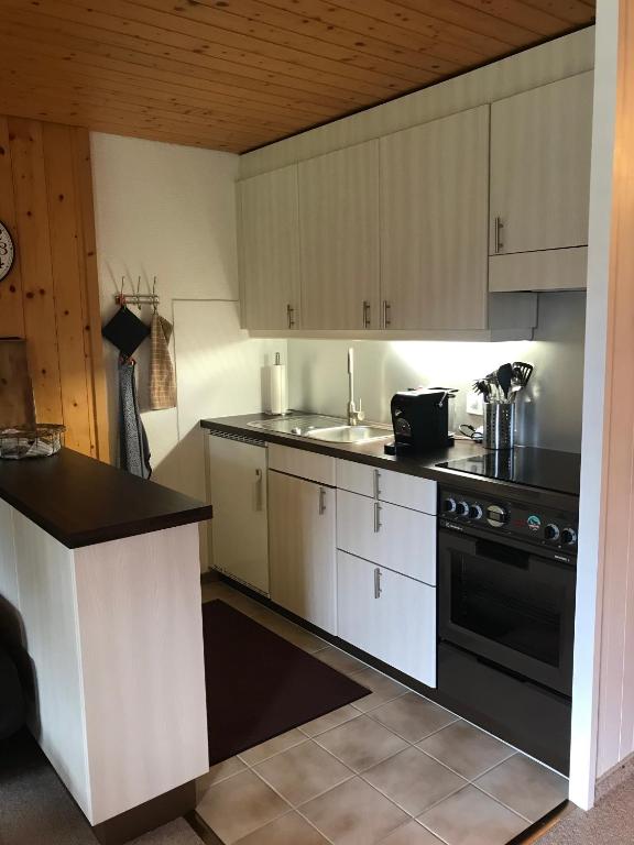 Kuchyň nebo kuchyňský kout v ubytování Ferienwohnung Résidence Sonnegg - Hein