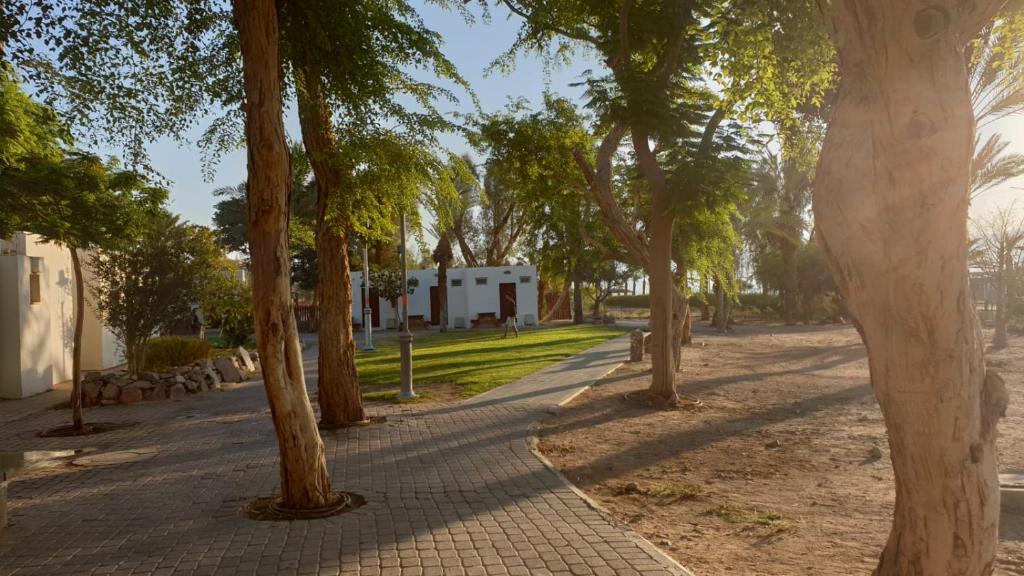 Zahrada ubytování SPNI Eilat Field School