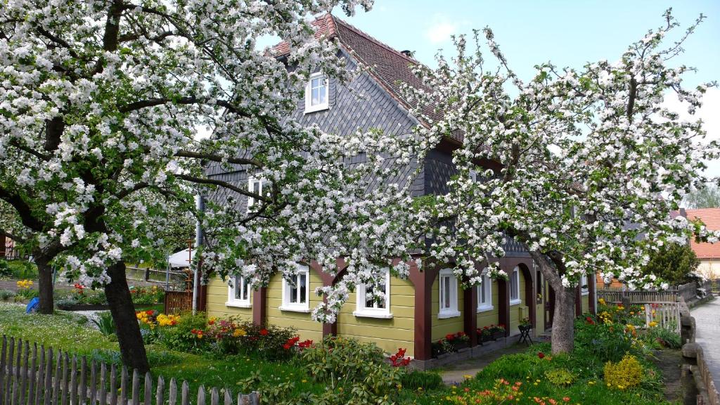 Zahrada ubytování Hotel Oybiner Hof
