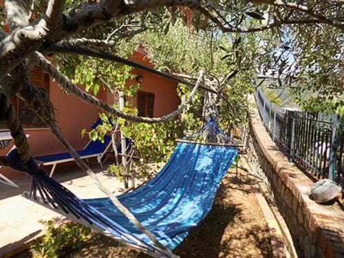 パリヌーロにあるCase Vacanze Parco nel Soleの庭の木掛け青いハンモック