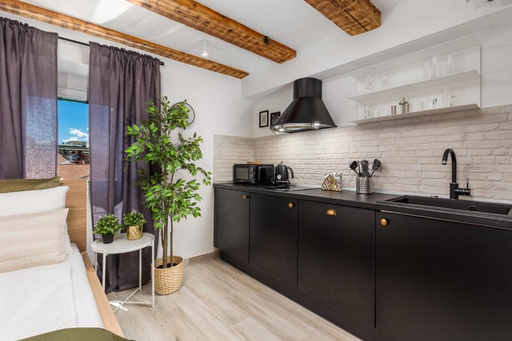 Grota apartments in the center - 4