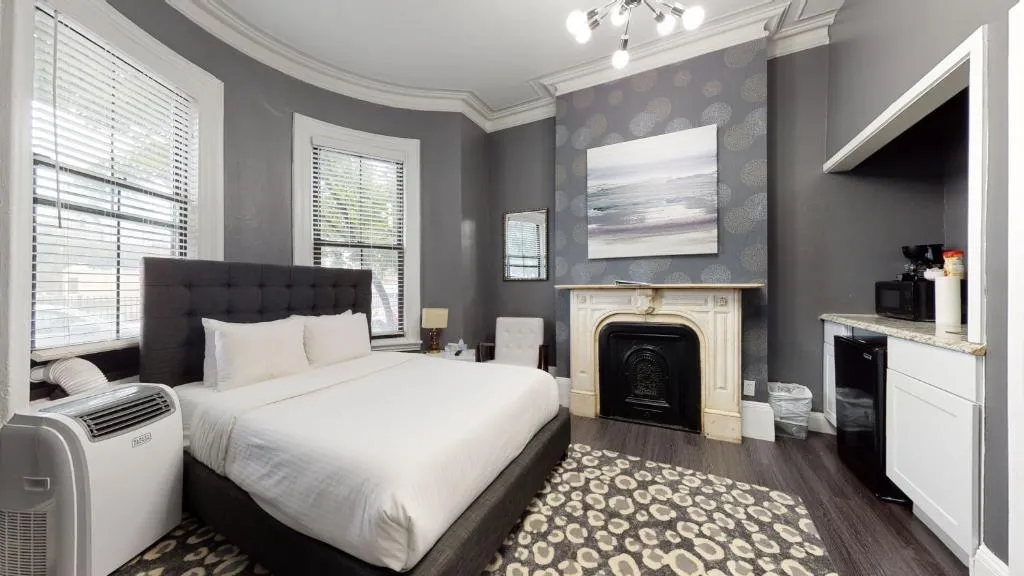 5-1 Pet Friendly! Private Room in Downtown Boston!, Boston, United States