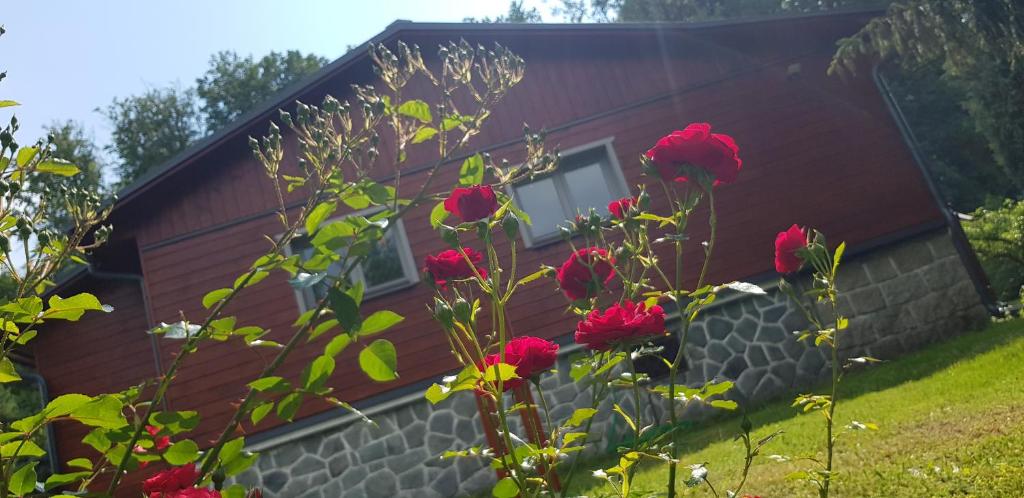 Zahrada ubytování Chata SPOLUNAKOLE - Český ráj