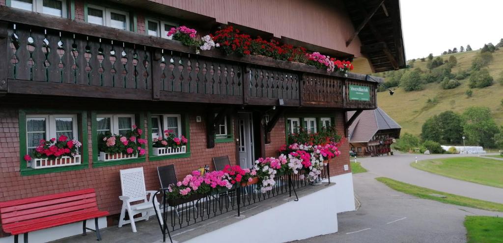 un bâtiment avec des boîtes de fleurs sur son côté dans l'établissement Schwarzwaldhaus Kathi, à Todtmoos