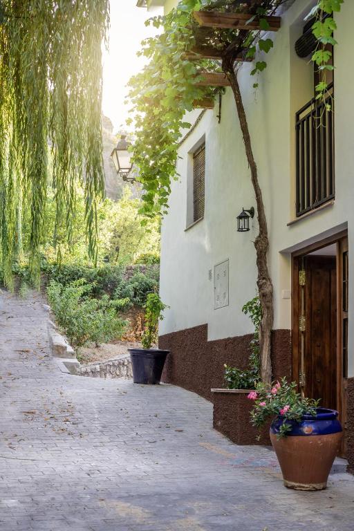 a building with two large pots of flowers in front of it at Casa Paseo Del Sauce in Cazorla