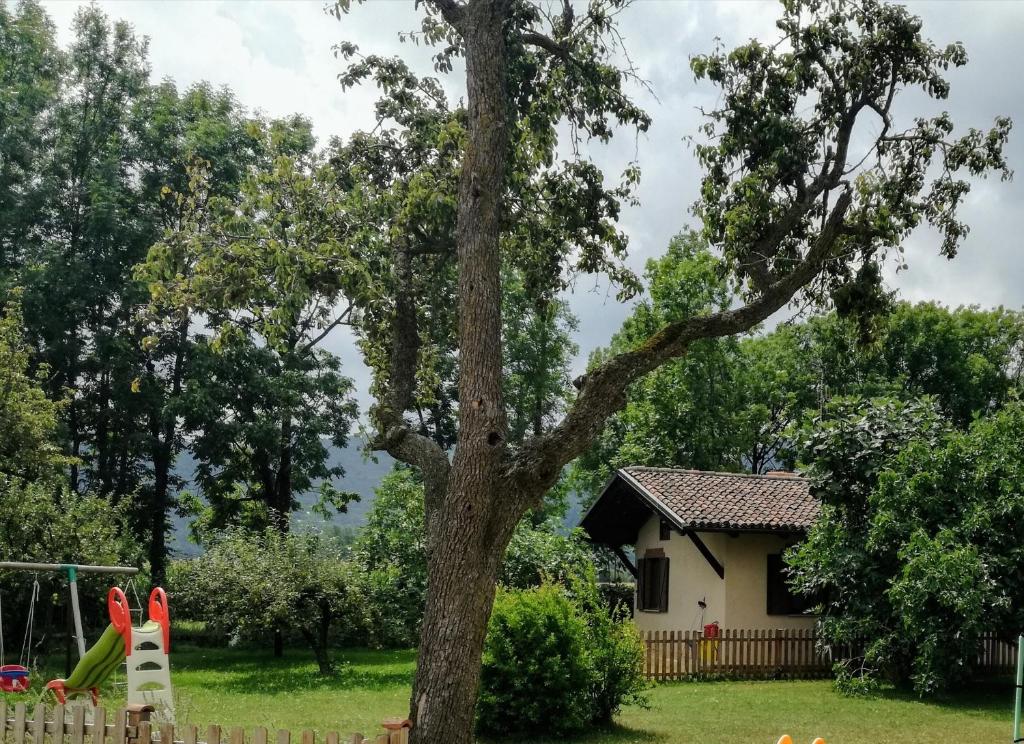 A garden outside La Casetta