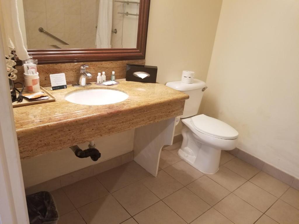Quality Inn Long Beach - Signal Hill - Standard Room, 1 King Bed, Accessible Tub, Non Smoking