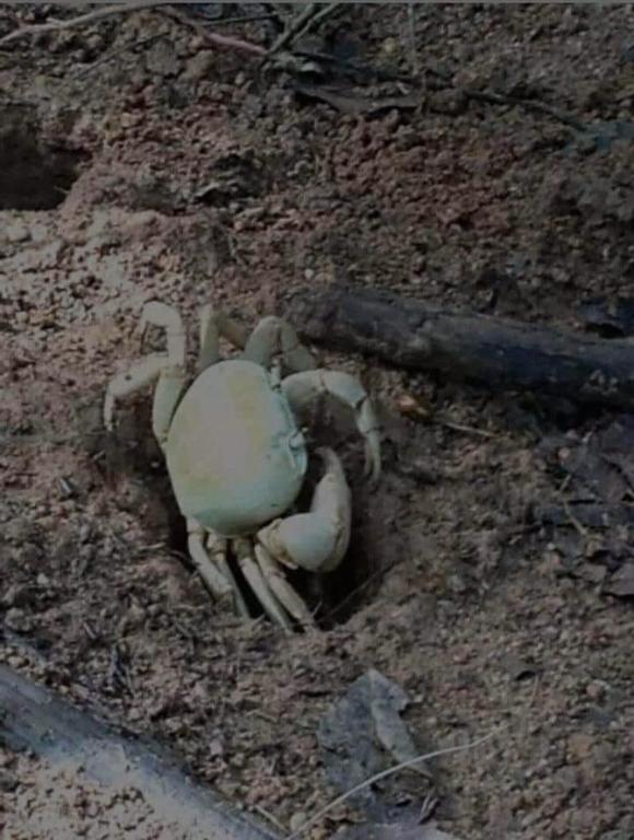  Casa Ubatuba Praia da Lagoinha