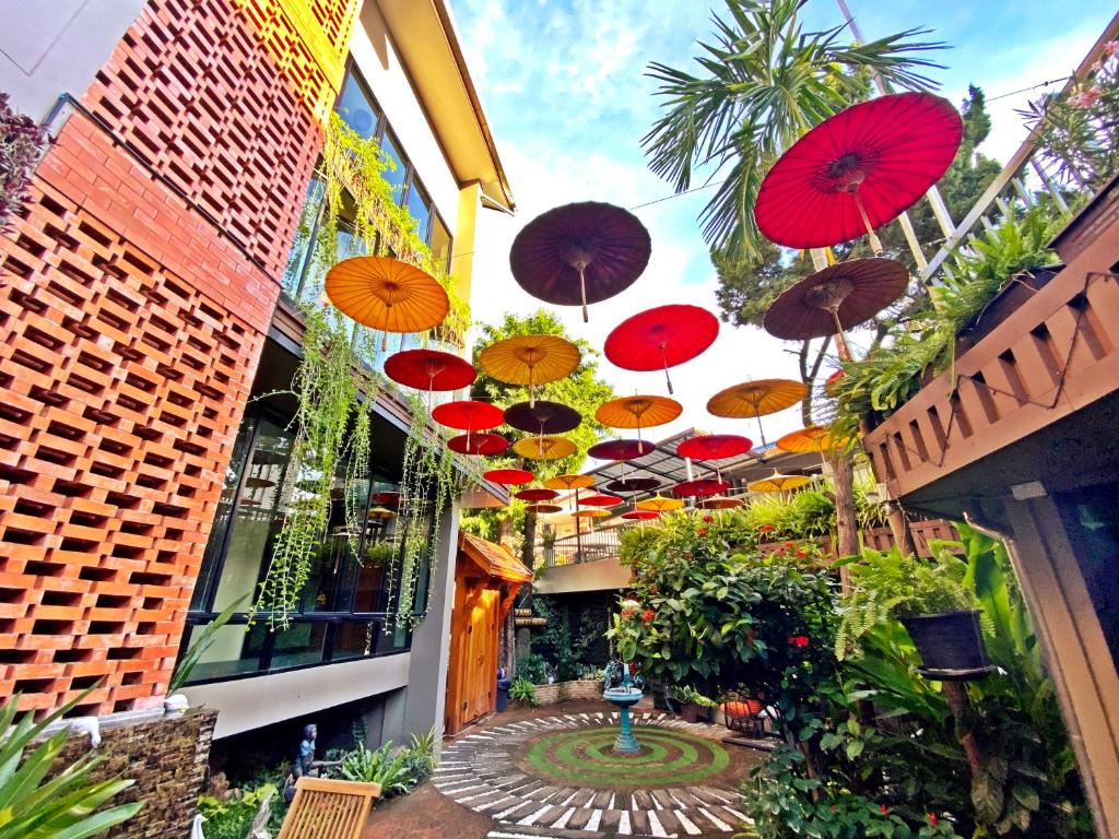 Fang Chiang Mai ?????????????????? - Resim 1