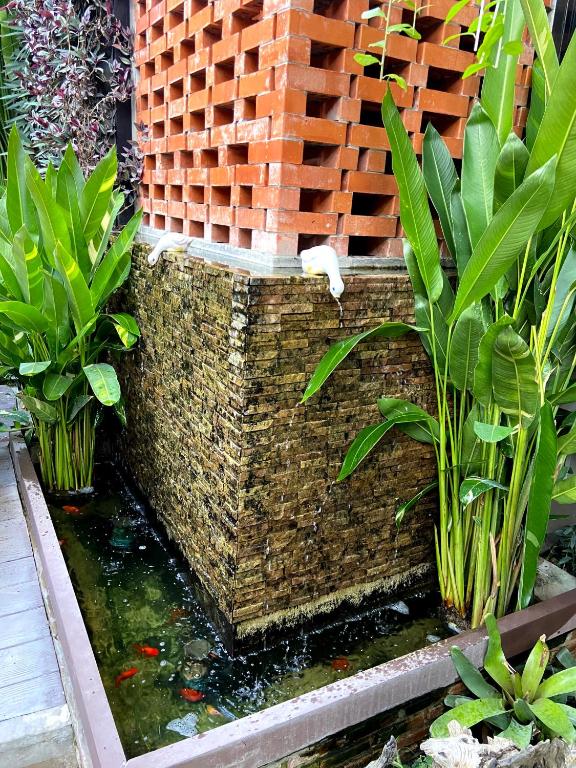 Fang Chiang Mai ?????????????????? - Resim 12