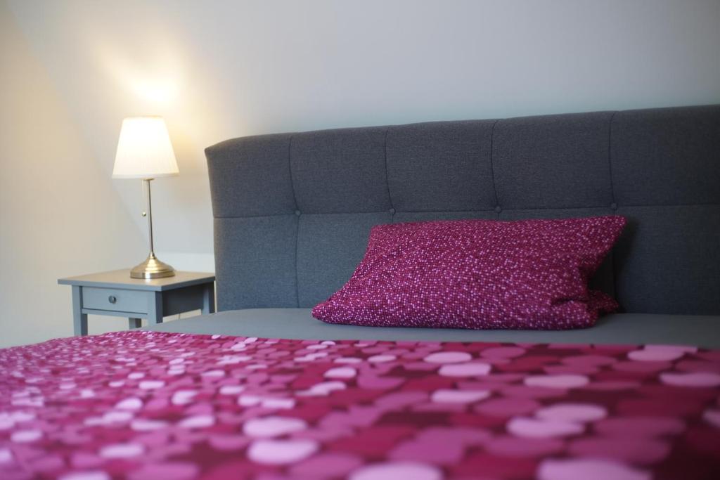 ゾーリンゲンにあるMessewohnung Gräfrathの紫色のベッド(ピンクの枕、ランプ付)