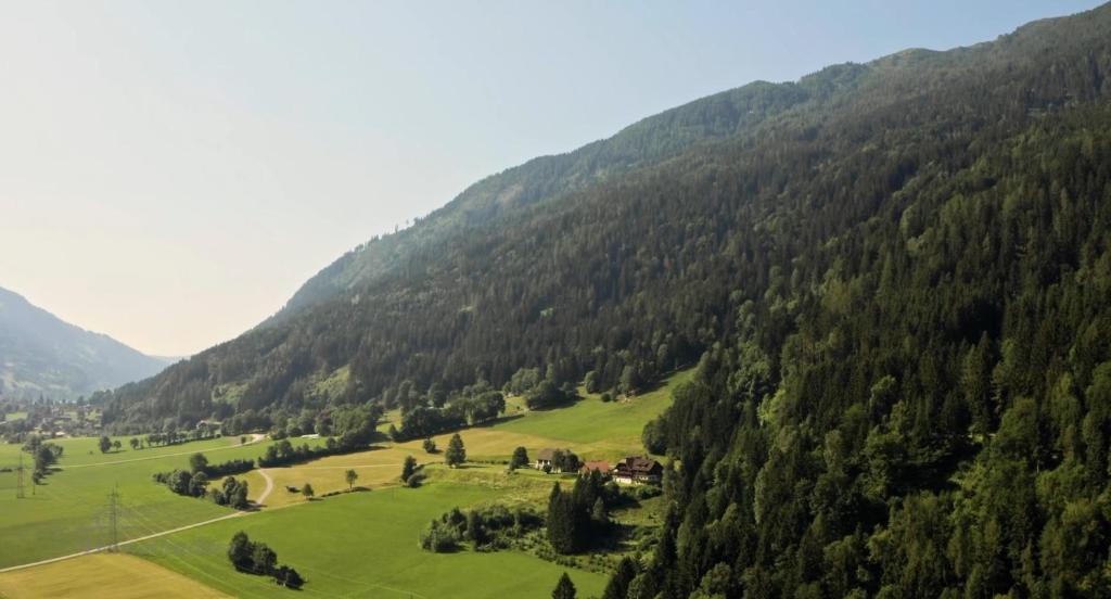 un valle con césped verde y árboles frente a una montaña en Gasthof Thurnerhof, en Feld am See