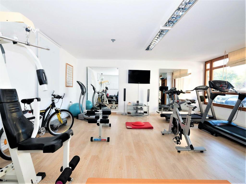 Fitness centrum a/nebo fitness zařízení v ubytování Palm Hill Villa