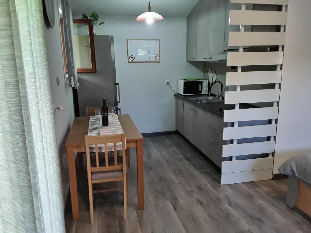 Kuchyňa alebo kuchynka v ubytovaní Apartman Studio Erin