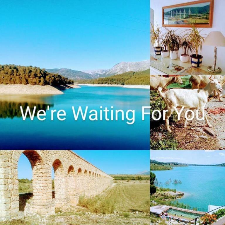 Táj Show holiday homes közelében