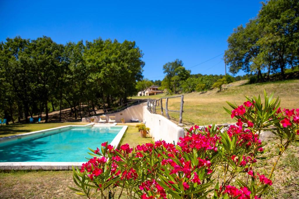 a swimming pool in a yard with pink flowers at Le Mas Sérénité in Ansouis