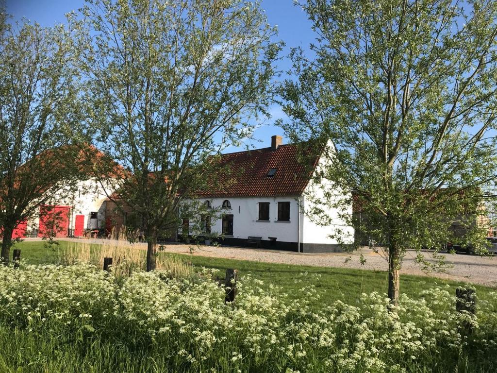 Biały dom z drzewami i polem kwiatów w obiekcie Maenhoudthoeve met zwembad en sauna w mieście Oudenburg