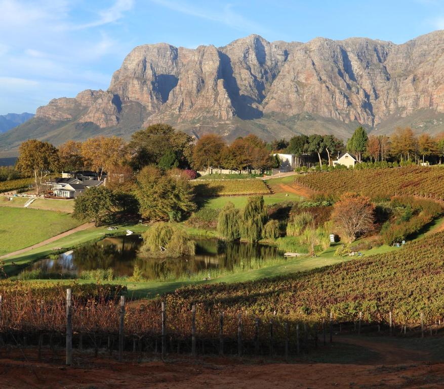 Blick auf einen Golfplatz mit Bergen im Hintergrund in der Unterkunft Alluvia Boutique Winery & Luxury Accommodation in Stellenbosch