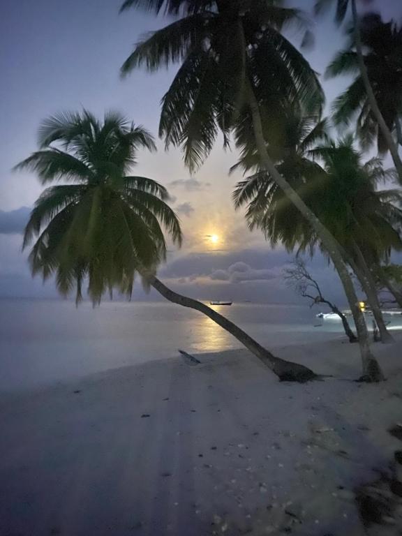Mandhoo Inn - View 29