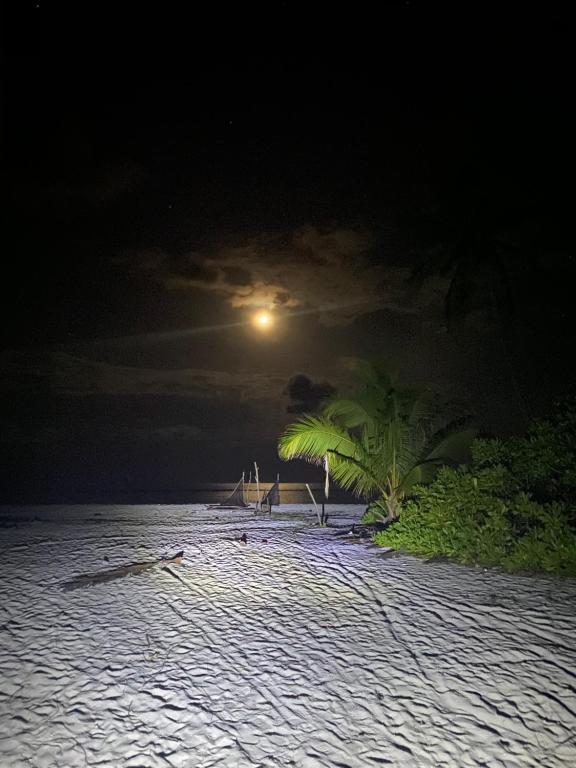 Mandhoo Inn - View 36