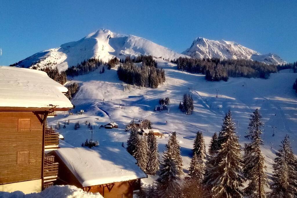 una montagna innevata con alberi e un edificio di La Belle Etoile a Manigod