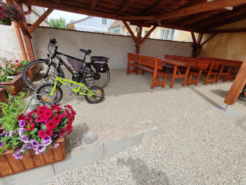 Jízda na kole v ubytování Apartmány Knížkovi nebo okolí
