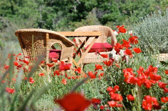 Deux chaises et une table dans un champ de fleurs dans l'établissement Maison Rouge, à Plan dʼAups
