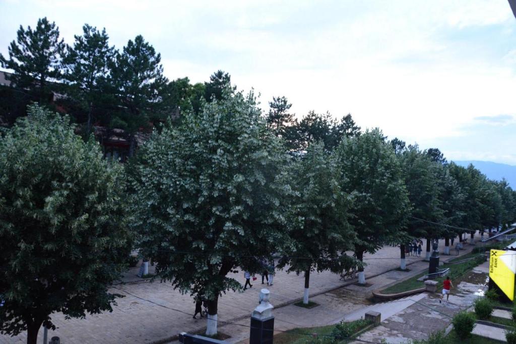 Royal Hotel Peshkopi Albania - Imazhi 12