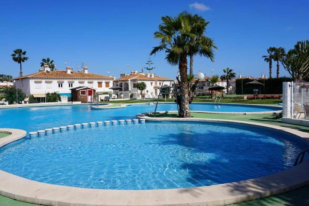 una grande piscina con una palma al centro di Costa Blanca Bungalow Lago jardin frente piscina 4 personas a Torrevieja