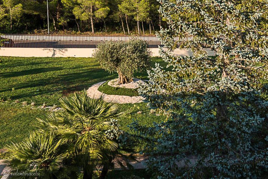 Zahrada ubytování Hotel San Vincenzo Resort