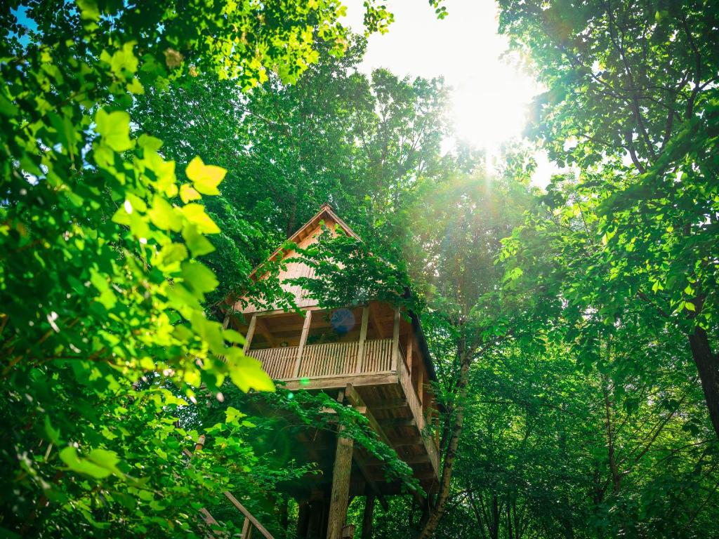 a tree house in the middle of the forest at Garden Village Bled in Bled