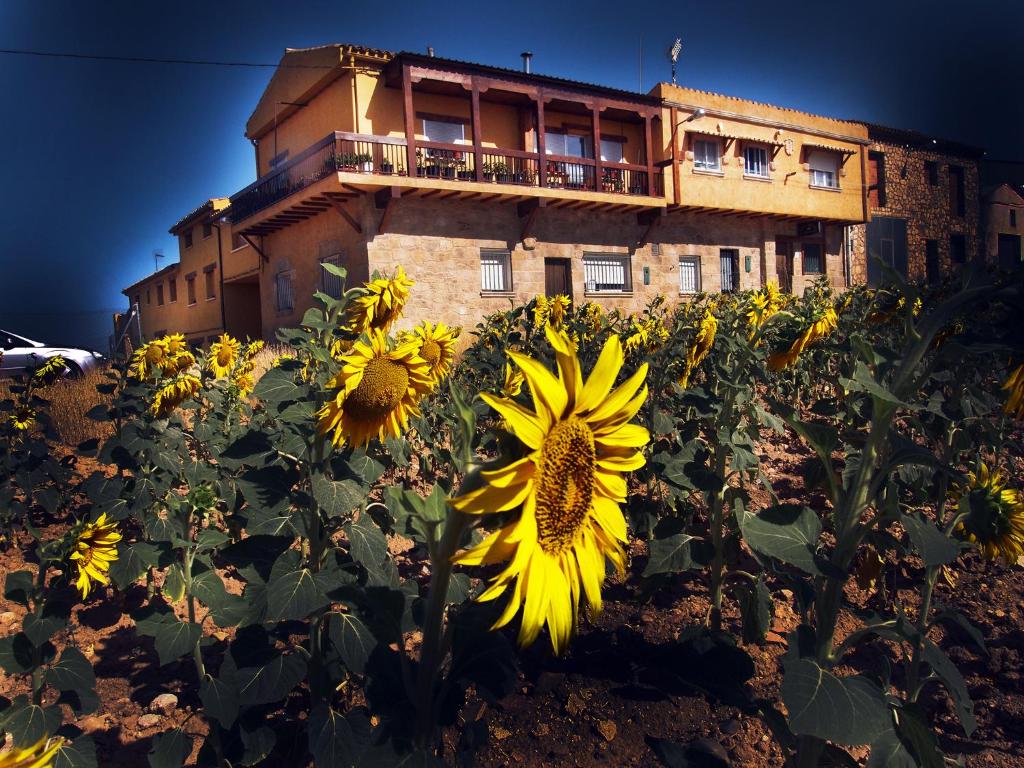 un campo de girasoles frente a un edificio en La Antigua Vaquería, en Cuenca