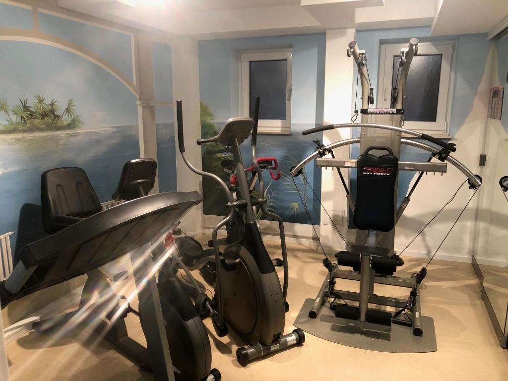 Fitness centrum a/nebo fitness zařízení v ubytování Haus am Park