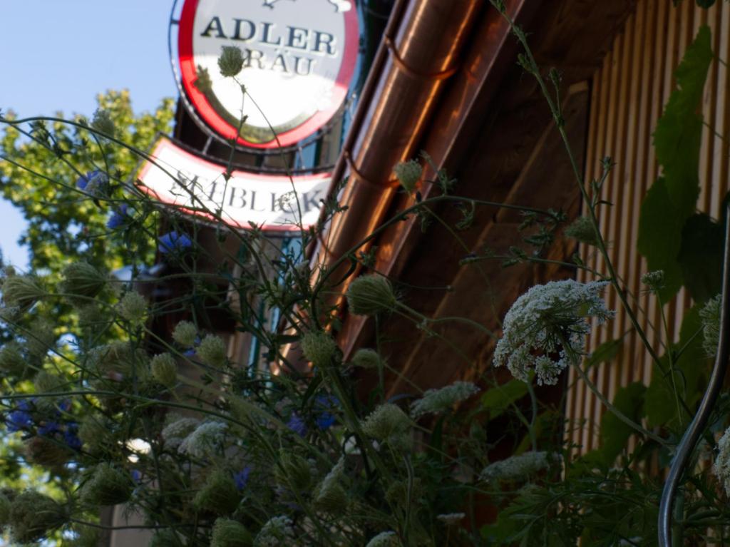 Fotografie z fotogalerie ubytování Hotel Cafe Seeblick v destinaci Filzbach