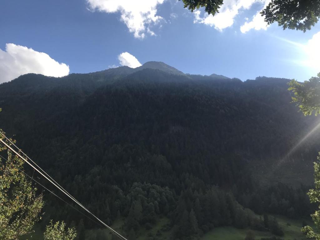 Příroda nedaleko apartmánu