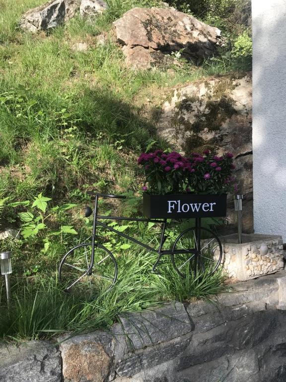 Zahrada ubytování Genzianella