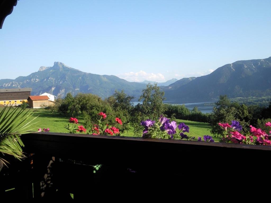 Blick auf einen Garten mit Blumen und Bergen in der Unterkunft Dirnbergerhof in Mondsee