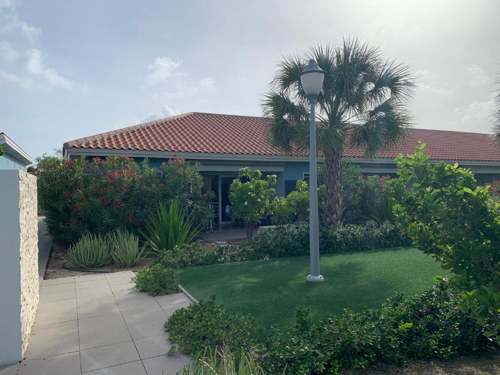 a house with a palm tree in a yard at Blije Rust 10 in Willemstad