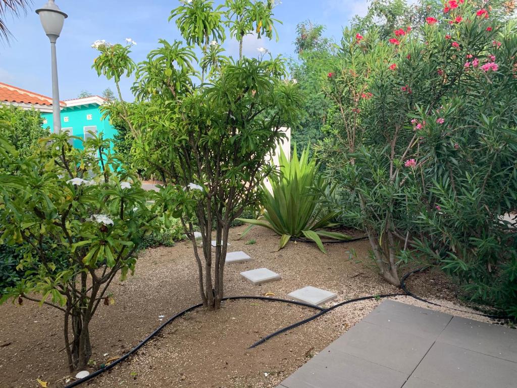 a garden with trees and plants and a street light at Blije Rust 10 in Willemstad