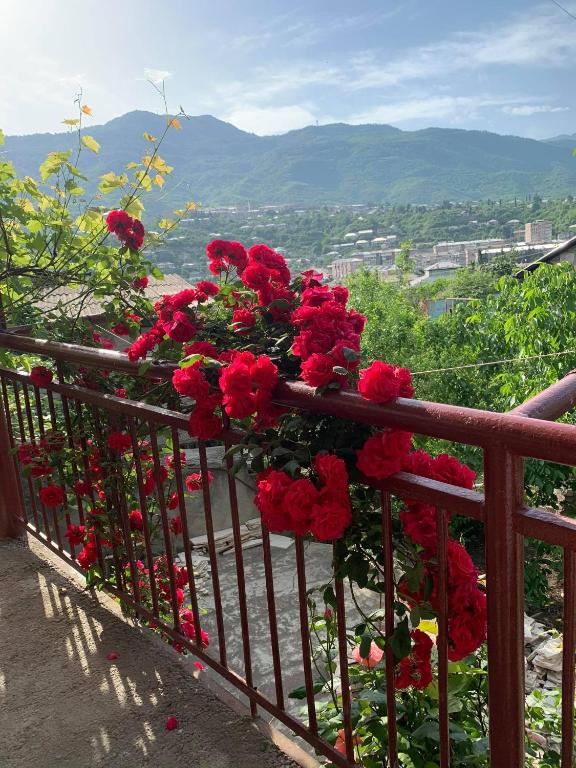 Fotografie z fotogalerie ubytování Guest House Anahit Ijevan v destinaci Ijevan