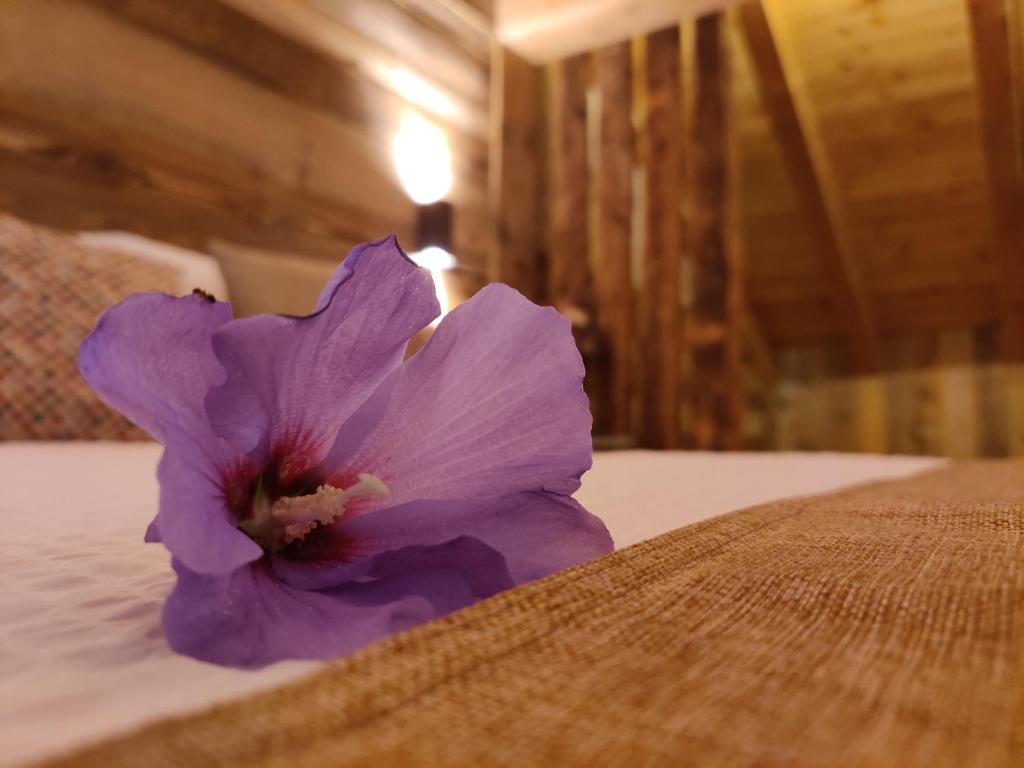 Au Fond du Bourg VDA Jovencan 0001 - 0002 - Housity