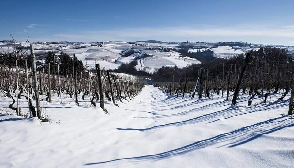 Agriturismo Minaldo v zimě