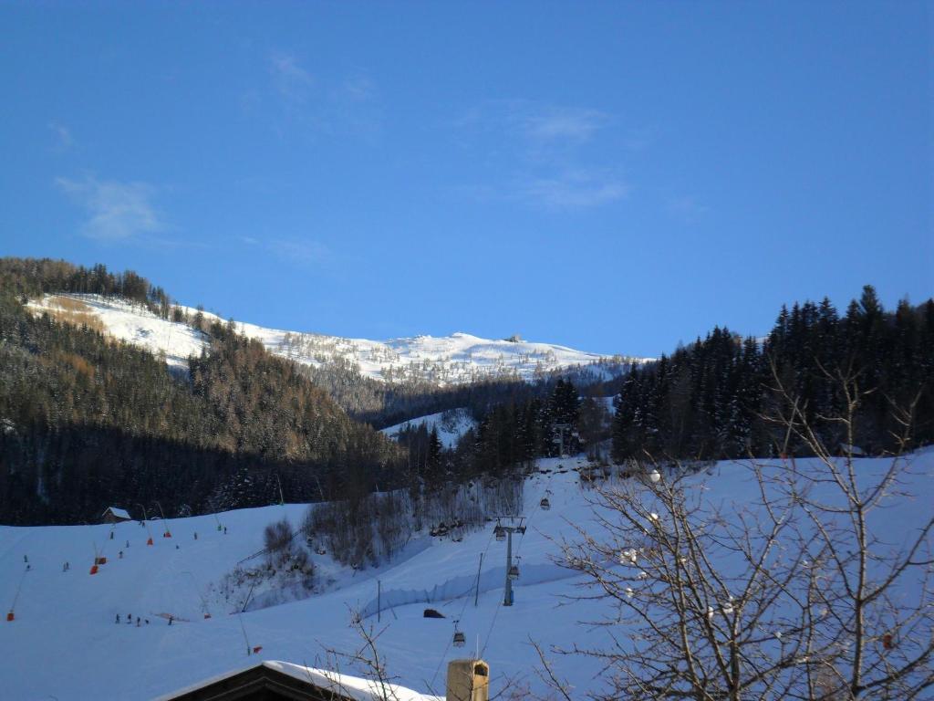 Appartement Bel Monte - Kärnten Card Sommer inklusive during the winter