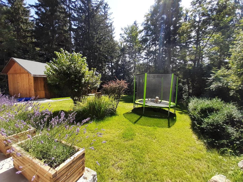Zahrada ubytování Apartamenty przy Świerku