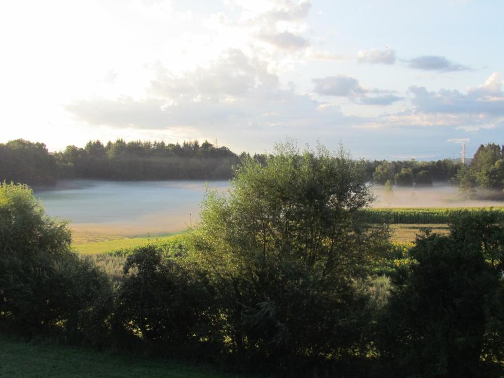 vistas a un lago con árboles y un campo en Ferienwohnung am Radweg en Ruprechtsbruck