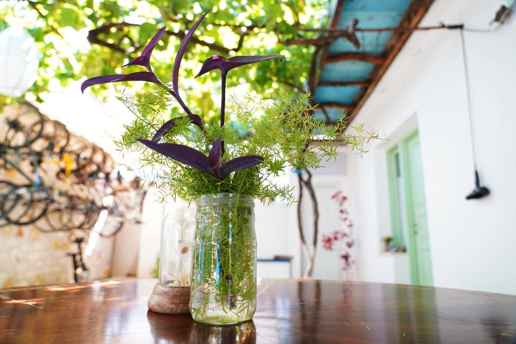 a vase with purple flowers sitting on a table at Himara Hostel in Himare